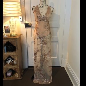 $10 ✌️Forever 21 Goddess dress Rose gold mesh maxi